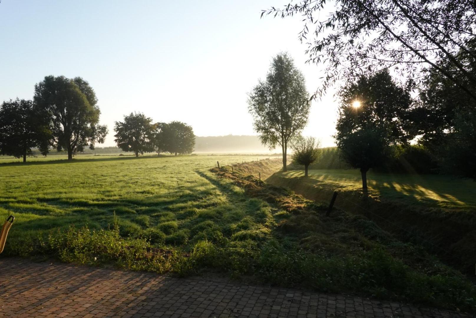 De Knotwilg Villa Loon op Zand Kültér fotó
